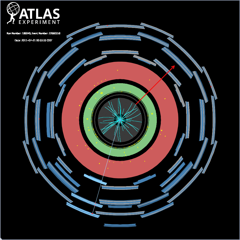 W-Boson Zerfall