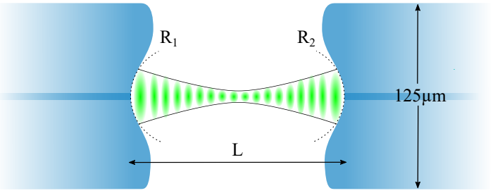 C_pia_fürtjes_fiber_cavity