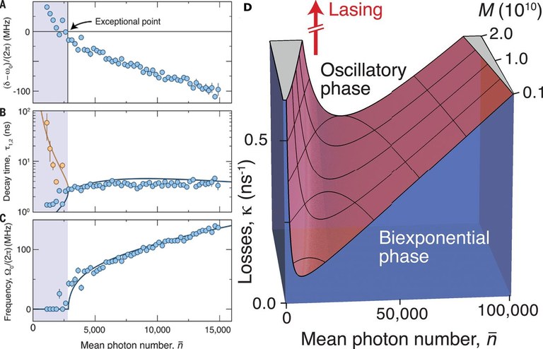 Exceptional point photon BEC