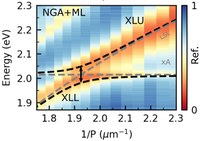 ExcitonPlasmonCoupling.jpg