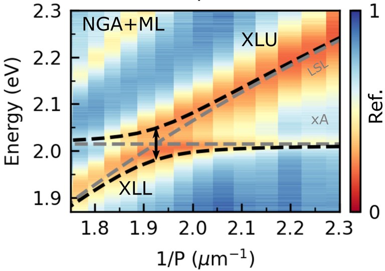 ExcitonPlasmonCoupling.jpg