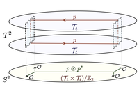 Sphere-Torus