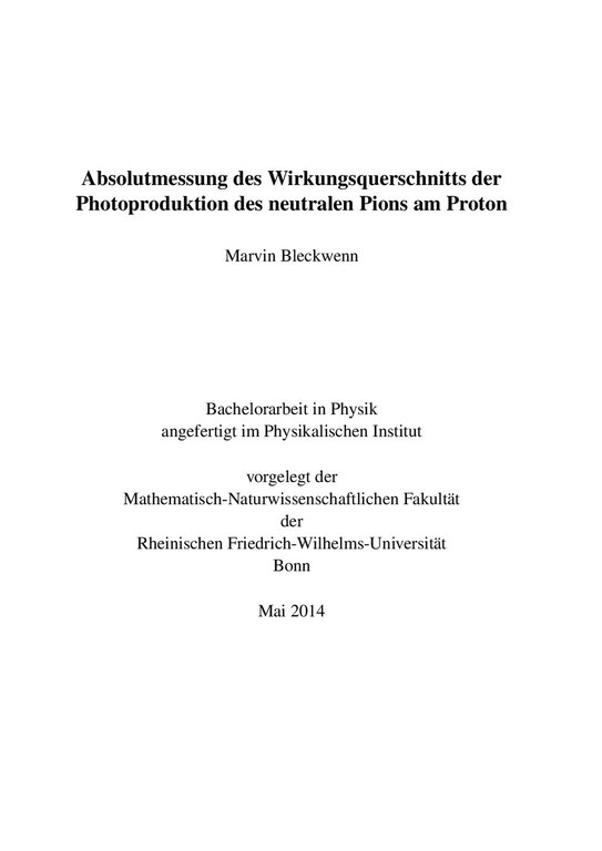 Bachelorarbeit_MarvinBleckwenn.pdf